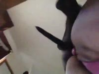 Big ass bitch got her fat pussy destroyed with dog's cock